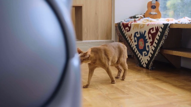 FEELNEEDY 65L Self-Cleaning Cat Litter Box: image 8