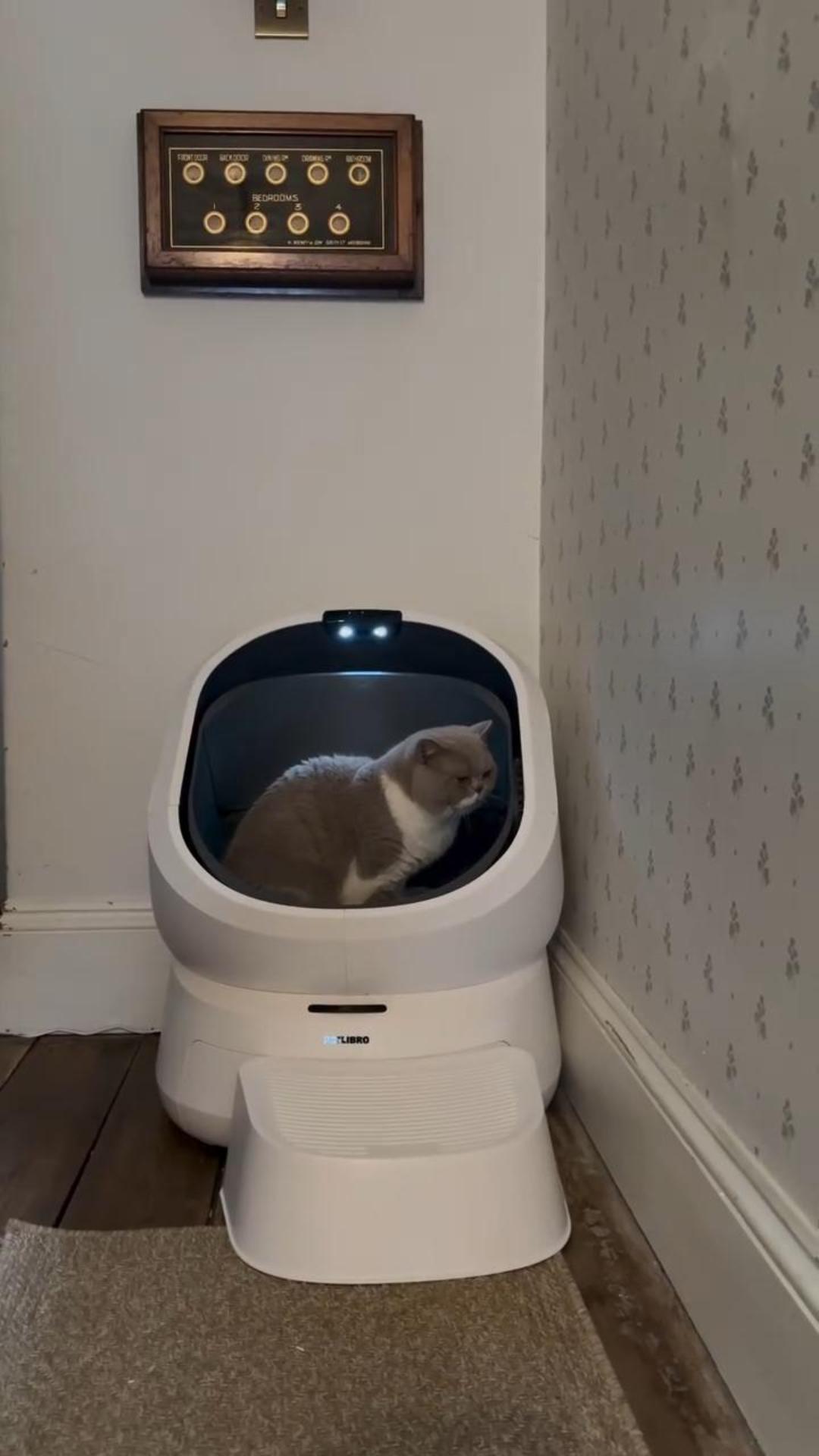 PETLIBRO Luma Automatic Self-Cleaning Cat Litter Box with AI Camera: image 8