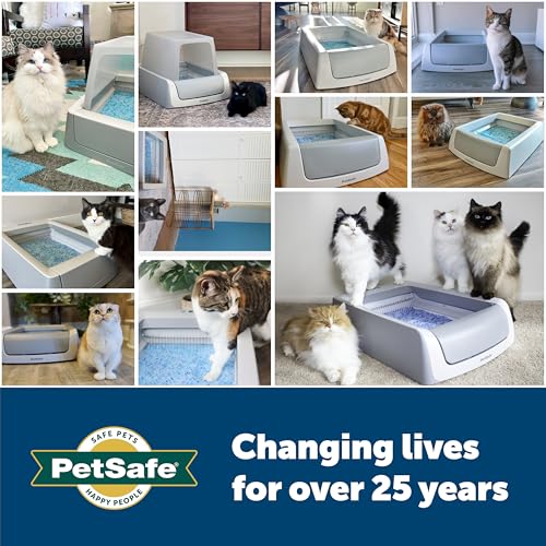 PetSafe ScoopFree Self-Cleaning Cat Litter Box (2nd Generation): image 7